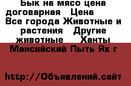 Бык на мясо цена договарная › Цена ­ 300 - Все города Животные и растения » Другие животные   . Ханты-Мансийский,Пыть-Ях г.